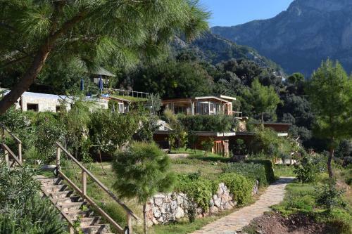 Lodge Kabak Avalon Bungalows