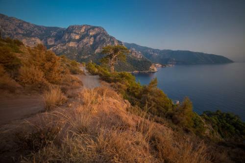 Lodge Kabak Avalon Bungalows