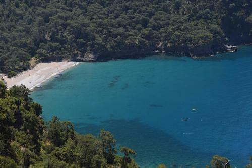 Lodge Kabak Avalon Bungalows