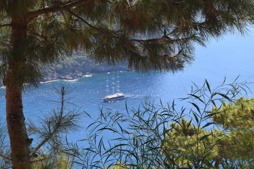 Lodge Kabak Avalon Bungalows