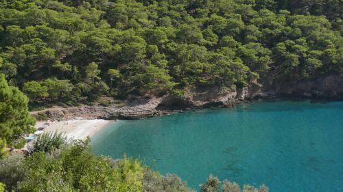 Lodge Kabak Avalon Bungalows