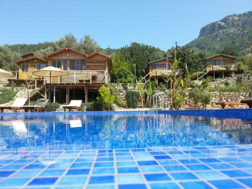 Olive Garden Kabak