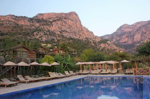 Olive Garden Kabak