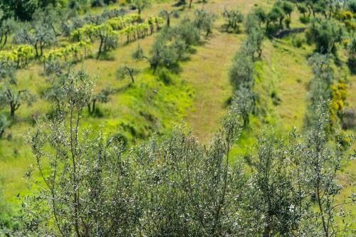Hotel La Rimbecca Greve In Chianti