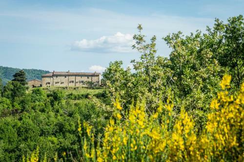 Hotel La Rimbecca Greve In Chianti