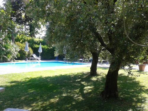 Lazise Villa Sleeps 14 Pool Air Con Wifi