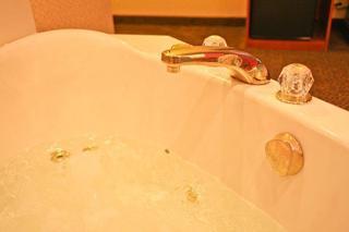 Best Western Plus Trail Lodge Hotel & Suites