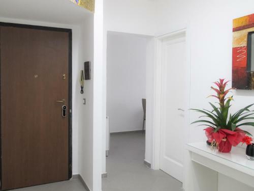 B&B Ricci