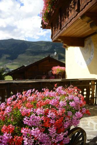 Apartamento Chalet Garden
