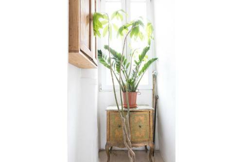 Apartamento Altido Artistic Flat With Large Terrace And River Views