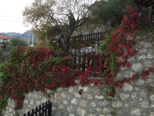 Hostal Selimiye Houses