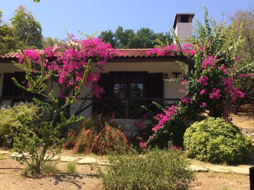 Hostal Selimiye Houses