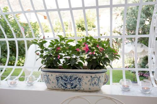 Bed & Breakfast Palazzo Cacace Relais