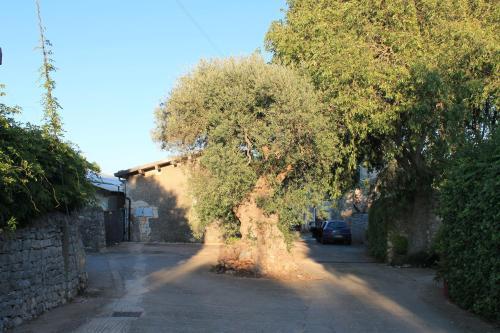 Agroturismo L'antico Ulivo