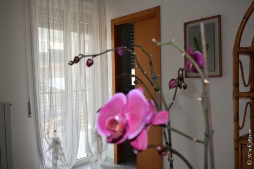 Apartamento Vacation House A Mola Di Bari