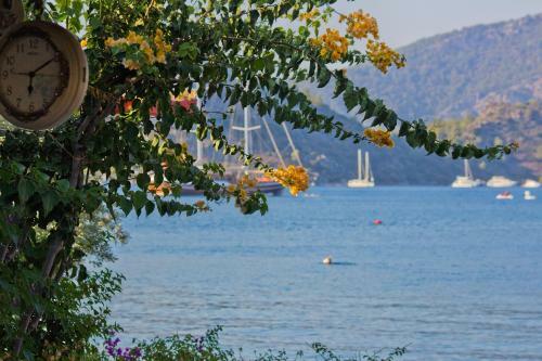 Hostal Losta Sahil Evi
