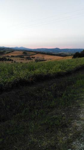 Agroturismo Agriturismo Uliveto Gretacci