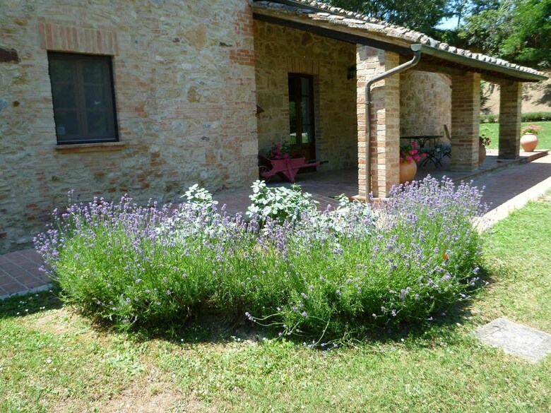 Agroturismo Il Molinaccio Di Montepulciano
