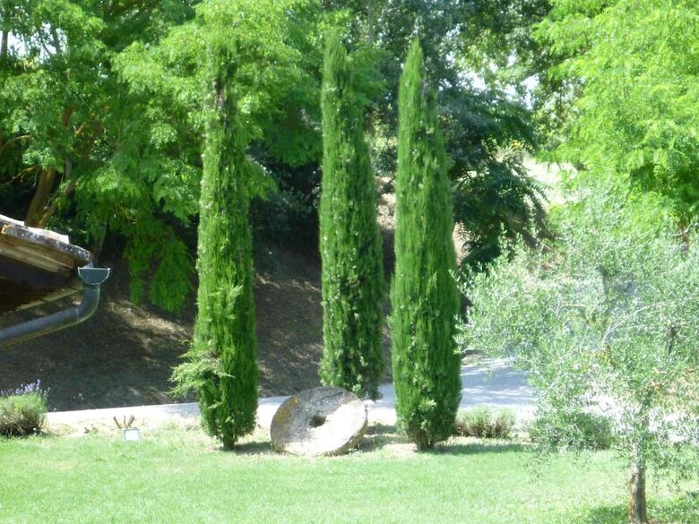 Agroturismo Il Molinaccio Di Montepulciano