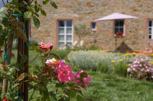 Agroturismo Agriturismo Casa Antheia