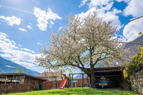 Bed & Breakfast Garni Schmiedhof