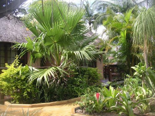 Bed & Breakfast Afrikhaya Guest House