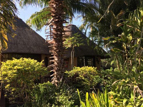 Bed & Breakfast Afrikhaya Guest House