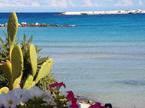 Apartamento Prestigioso Appartamento Sul Lungomare