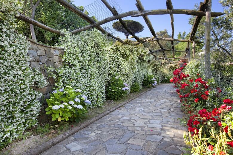Apartamento Montebosco Luxury Country House
