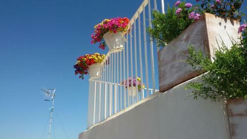 Bed & Breakfast La Naca Sul Porto