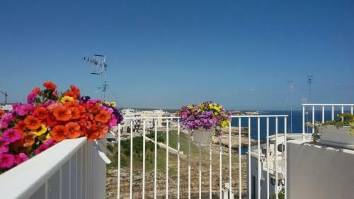 Bed & Breakfast La Naca Sul Porto