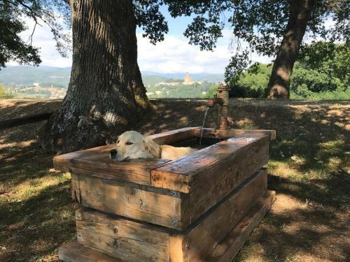 Posada Fattoria Poggio Di Dante