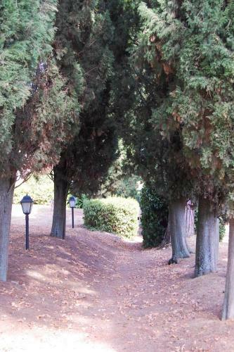 Strada Statale Flaminia Villa Sleeps 17 Pool Wifi