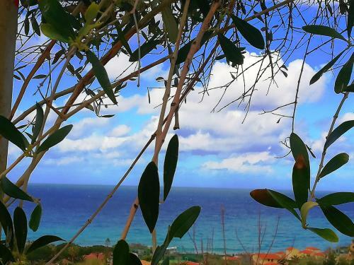 Apartamento Villa Rosa