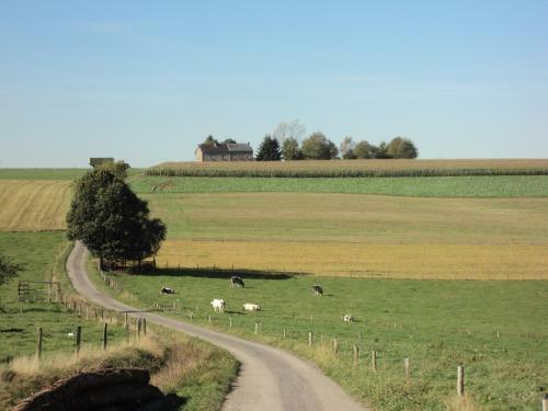 B&B La Niouche
