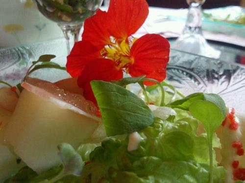 Hostal Yamagata Zao Pension Aplon Stage