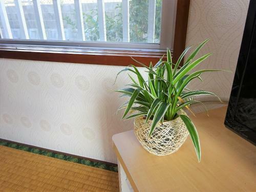 Hostal Minshuku Itoman Bettei Goyukkuri