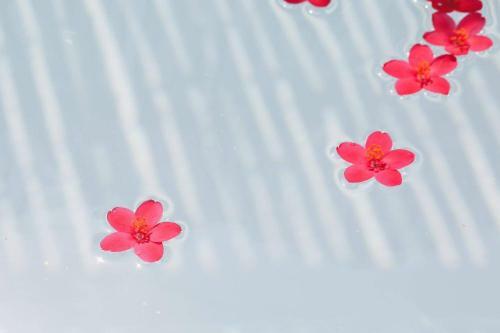 Hermit Hills Apartment In Okinawa Colors