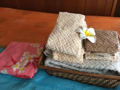 Bed & Breakfast Yadoya Usumiji (female Only)