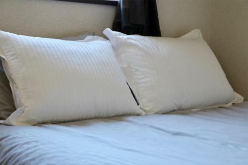 Sou Yarn Apartment Sapporo(1ldk�2)