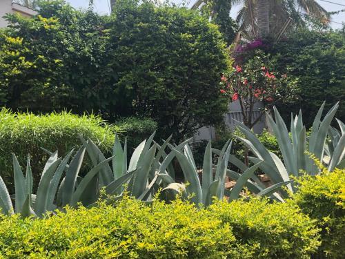 Bed & Breakfast Tiana Court Milimani