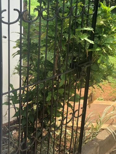 Bed & Breakfast Tiana Court Milimani