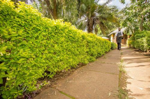 Hotel Engo Airport Resort Kitale