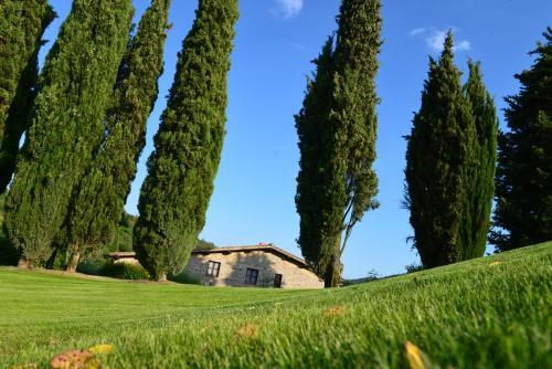 Agroturismo Agriturismo Il Colle