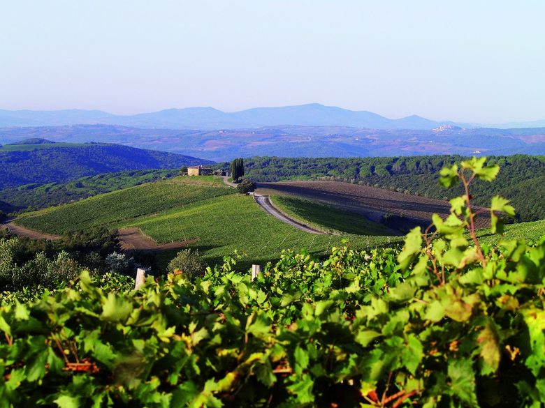 Hotel Rosewood Castiglion Del Bosco