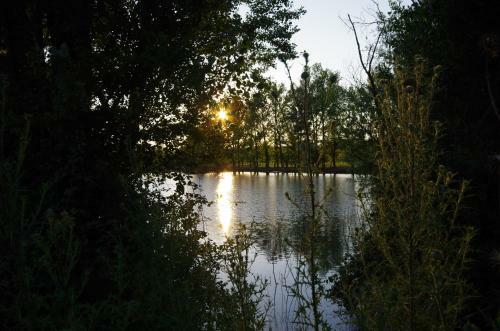 Agroturismo Agriturismo Scorgiano