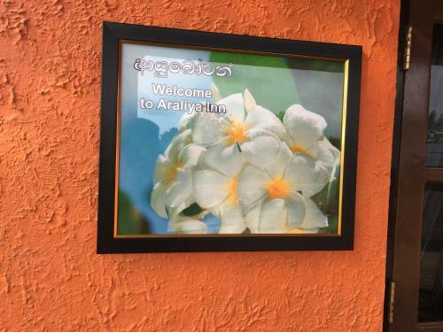 Bed & Breakfast Araliyainn Wilpaththu