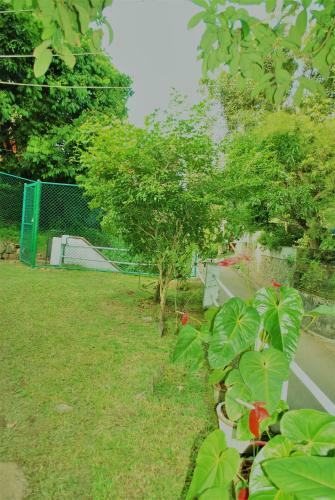 Hill House Galle Holiday Home