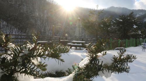 Bandy Star Pension