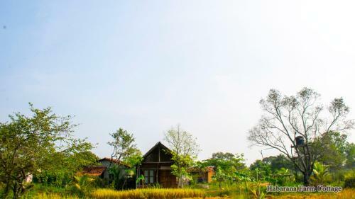 Hotel Habarana Farm Cottage